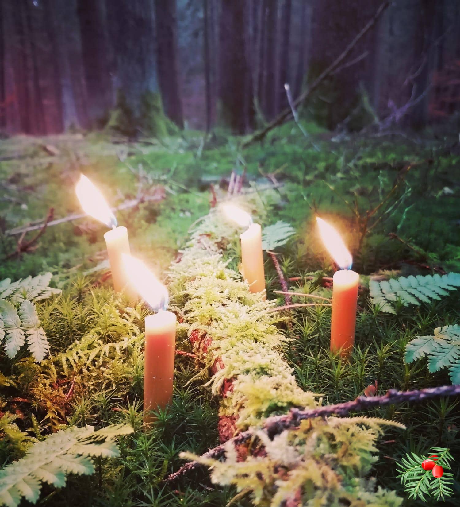 Imbolc - yew forest